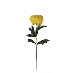 PEONIA 75CM AMARILLA