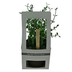 PLANTA OREGANO 18CM 15 HOJAS
