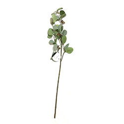 RAMO EUCALIPTO 75CM TONOS DE VERDE