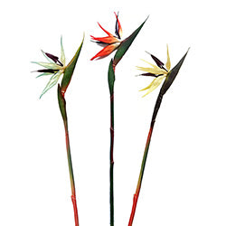 FLOR AVE DEL PARAISO 85CM