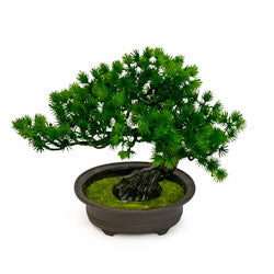 MACETA D12x21CM BONSAI ARTIFICIAL