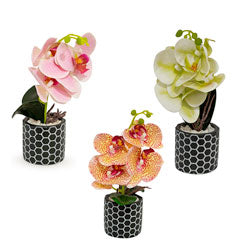 MACETA D8.5x34CM ORQUIDEA ARTIFICIAL
