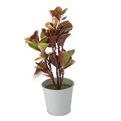 MACETA PEQUEÑA HOJA REDONDA H25.5CM