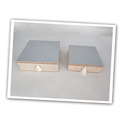 CAJA DE MADERA 20x20.5x7CM GRIS