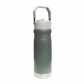 BOTELLA TERMICA DOBLE PARED 650ML VERDE