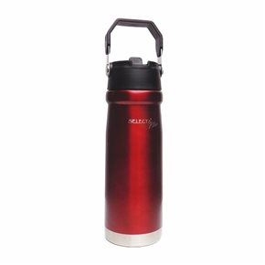 BOTELLA TERMICA DOBLE PARED 650ML GRANATE