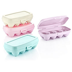 HUEVERA 25x12x7CM 8 HUEVOS PLASTICO SURTIDO