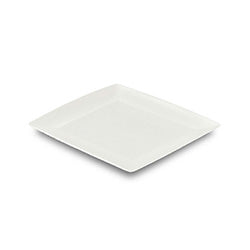 PLATO CUADRADO 19X19X2CM PLASTICO SURTIDO