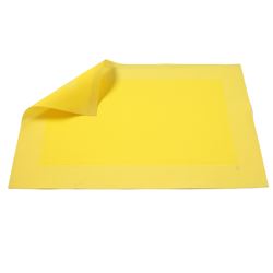 INDIVIDUAL PVC  DISEÑO RECUADRO BEIGE 47x30CM