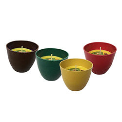 CITRONELLA EN BIOPOT CURVO D6.5/H6CM DIF.COLORES