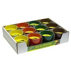 CITRONELLA EN BIOPOT CURVO D6.5/H6CM DIF.COLORES