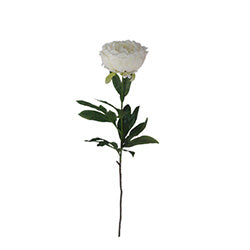 PEONIA 75CM BLANCA