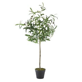 ÁRBOL OLIVO CON FRUTA  44x40x108CM