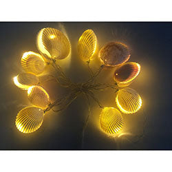 GUIA LED X10 ALMEJAS BLANCAS