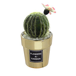 MACETA CON TUNA PEQUEÑA D8.5/H8CM