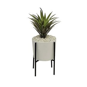 MACETA C/BASE D5x18CM SUCULENTA SURTIDO