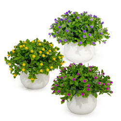 MACETA D7x14CM FLORES ARTIFICIALES