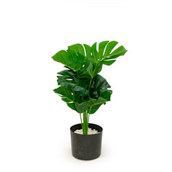 MACETA D15x43CM MONSTERA ARTIFICIAL