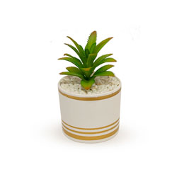 MACETA BLANCA/DORADO D6x15CM SUCULENTA