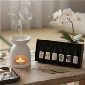 SET 6 ACEITES AROMATICOS 10ML SURTIDO