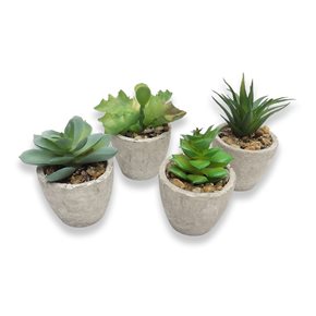 SUCULENTA DECORATIVA D12CM SURTIDO