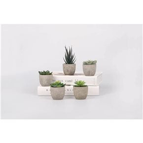 SUCULENTA DECORATIVA D12CM SURTIDO