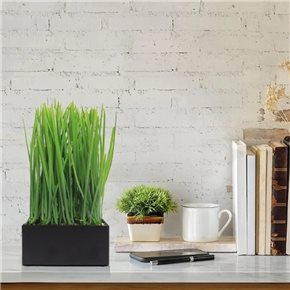 PLANTA ARTIFICIAL EN MACETA 16x8x26CM NEGRO/BLANCO