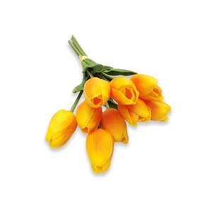 RAMO 9 TULIPANES NARANJA