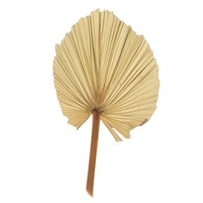 HOJA DE PALMA DECORATIVA 60CM NATURAL