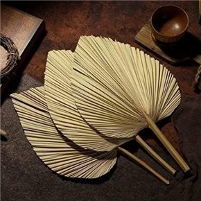 HOJA DE PALMA DECORATIVA 60CM NATURAL