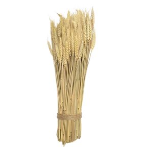 RAMO TRIGO 30CM NATURAL