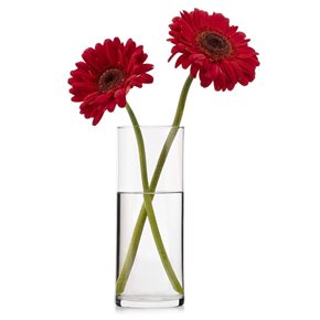 FLORERO VIDRIO CHIPINQUE D9xH25CM