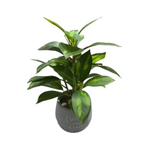 PLANTA ARTIFICIAL CROTON 25CM