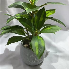 PLANTA ARTIFICIAL CROTON 25CM