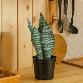 PLANTA LENGUA DE SUEGRA ARTIFICIAL 27CM
