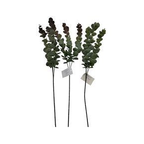RAMA DE EUCALIPTO 60CM