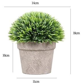 PLANTA LOTO EN MACETA H18X14CM