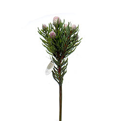 RAMO PIMPOLLOS MORADOS 38CM