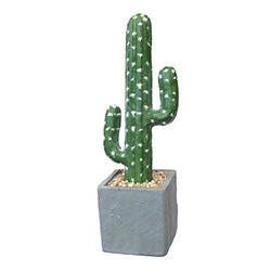 CACTUS EN MACETA 26.5CM