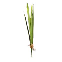 RAMO HOJA DE GLADIOLO L30CM
