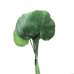 RAMO X11 HOJA NENUFAR 33CM