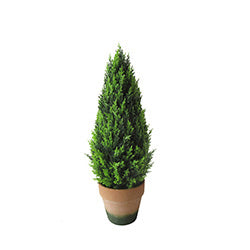 ARBOL THUJA ARTIFICIAL PEQUEÑO C/ MACETA.  D15XD40CM