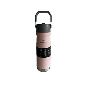 BOTELLA TERMICA DOBLE PARED 650ML ROSA