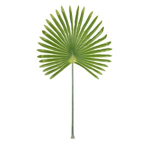 HOJA DE PALMA VERDE 59x3x103CM