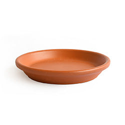 PLATO MACETA TERRACOTA MESTIZA D19CM