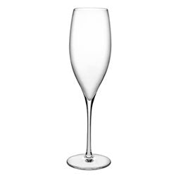 SET X2 COPA CHAMPAGNE 255CC TERROIR NUDE PASABAHCE